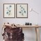 Stupell Industries Blue Botanical Herbs 2pc Floating Frame Set Design by Susan Jill